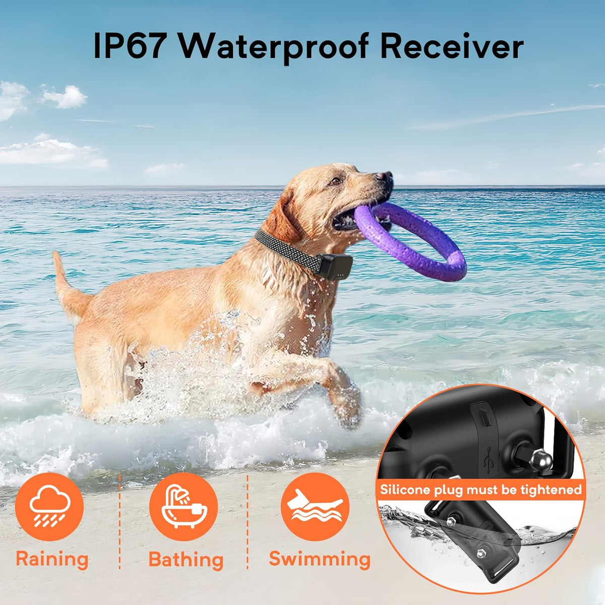 Waterproof Dog Training Collar with Remote, Pack of 2 L68923