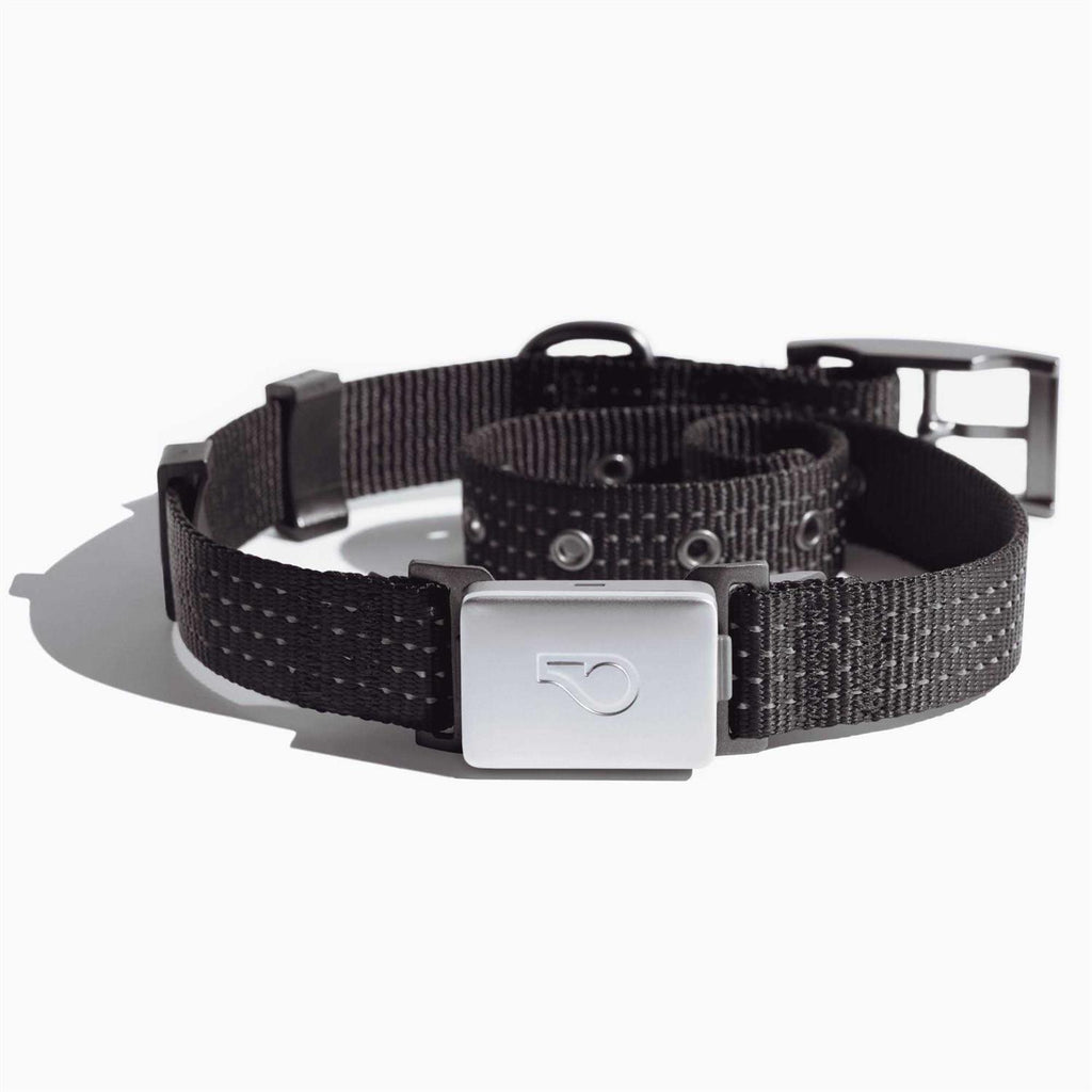 Smart Collar Kit R3093