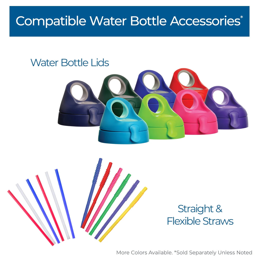 24 oz Stainless Steel Water Bottle with lid W887
