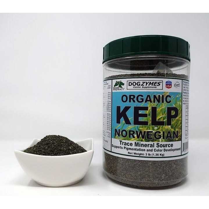 Organic Norwegian Kelp with Organic Garlic B917