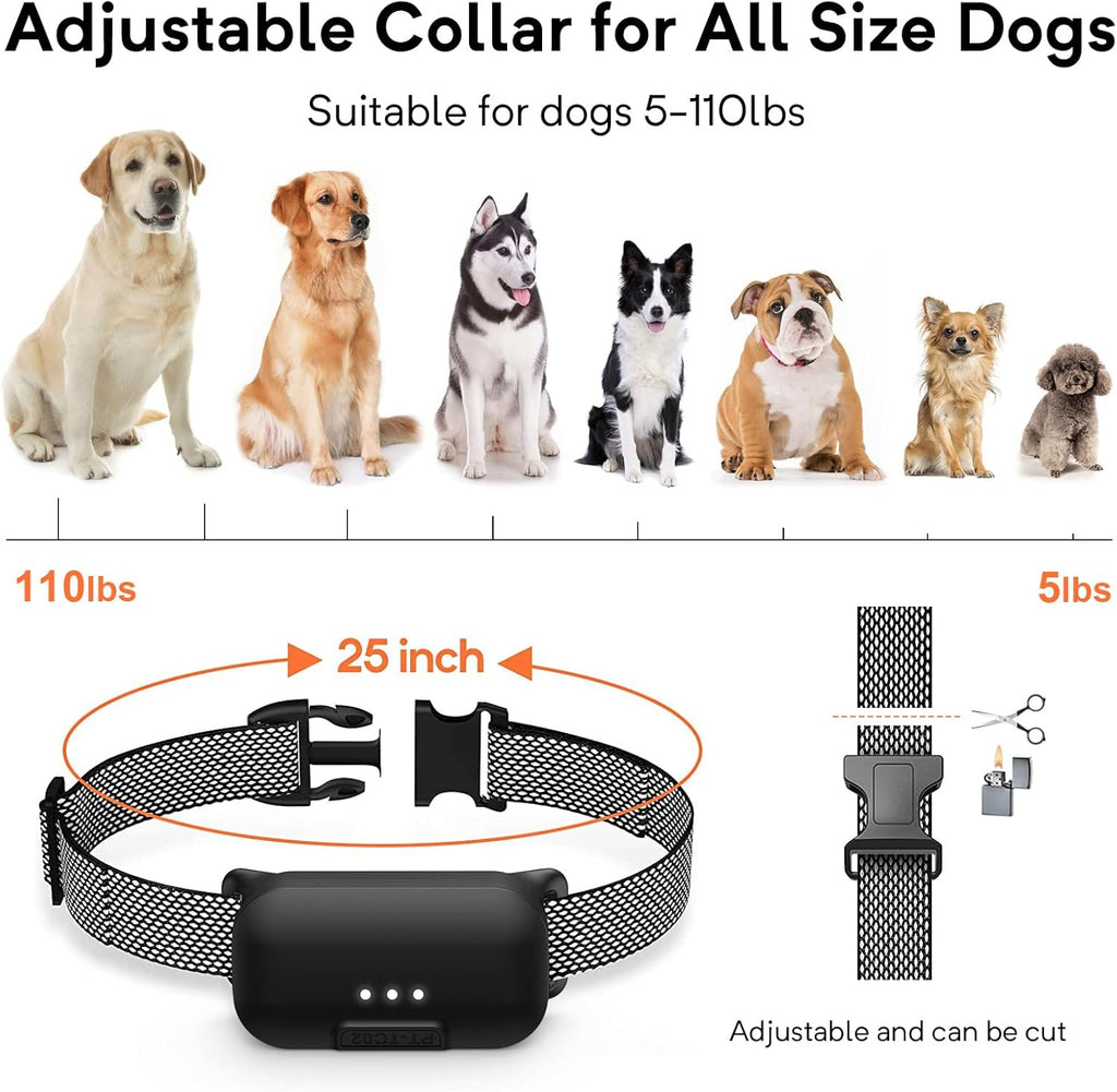 Waterproof Dog Training Collar with Remote, Pack of 2 L68923