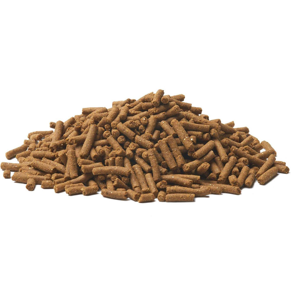 Adult Dry Dog Food J719