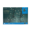Green Wire LED Christmas Cluster Light Set F301695