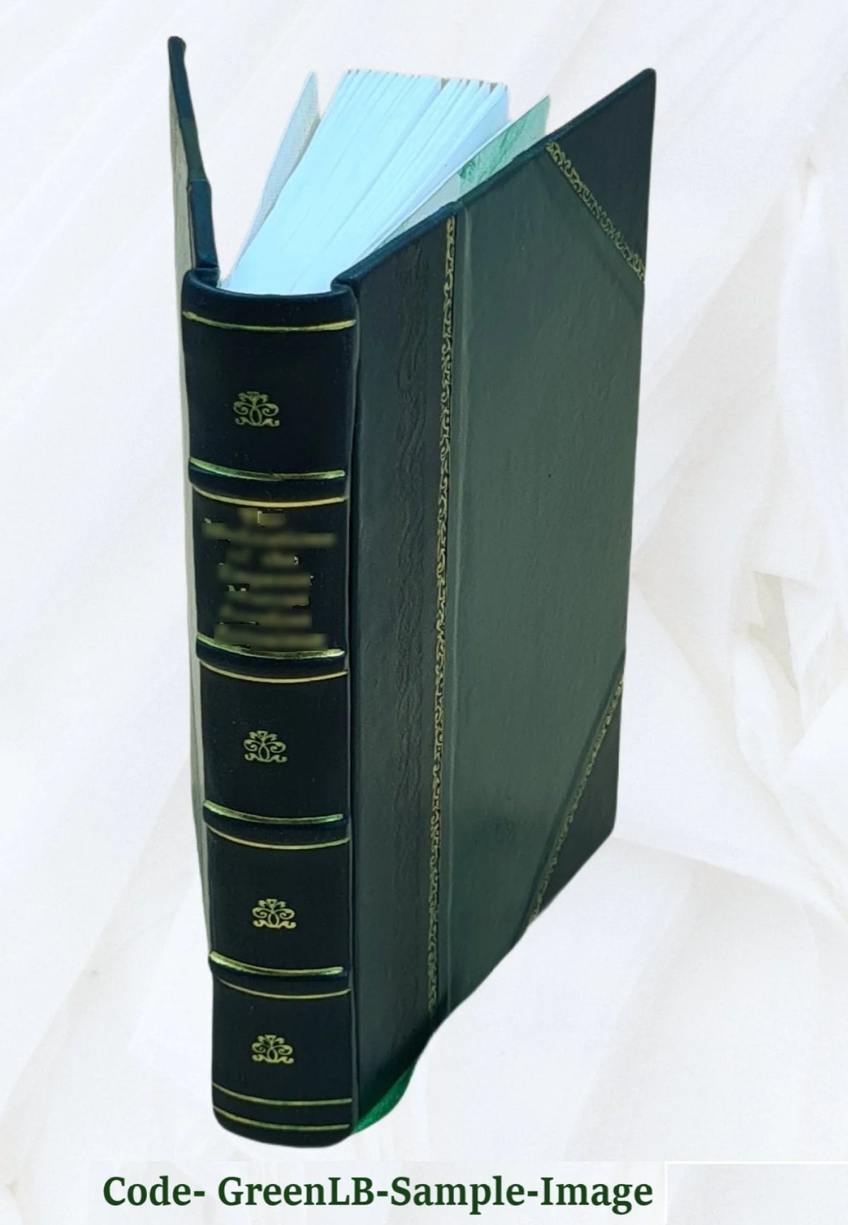Leather Bound Book Q16749