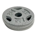 10 lb Standard 1 Weight Plate Set (2.5 lb x 4) Y340940