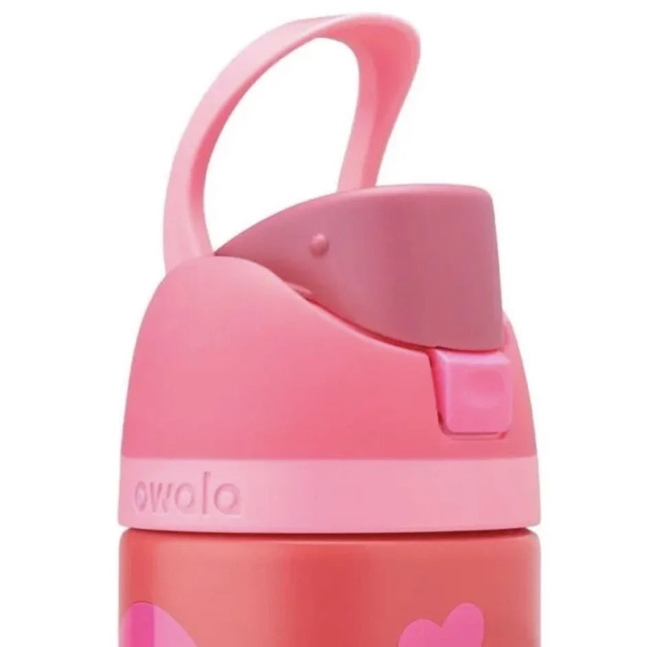 24 oz Stainless Steel Water Bottle in Pink Z813793