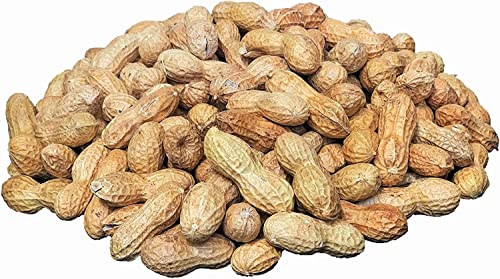 Raw Peanuts in Shell 5 lbs X34424