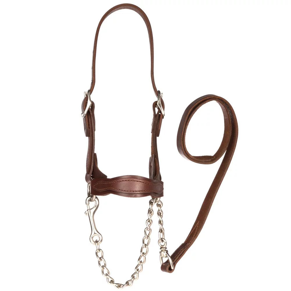 Brown Leather Show Halter Y725