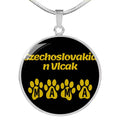 Stainless Steel or 18k Gold Necklace V51791