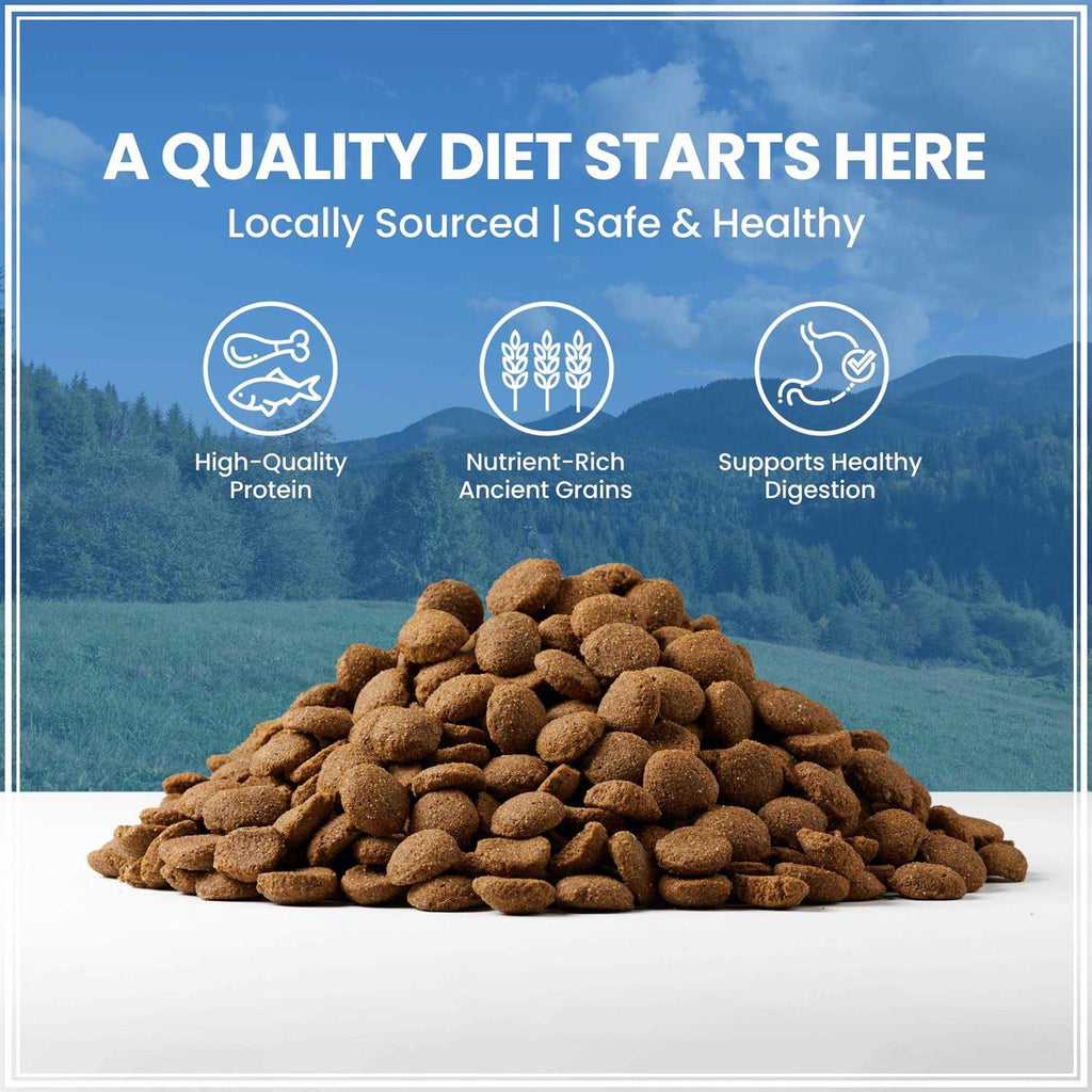 Ancient Grains with Chicken Dog Food T8816