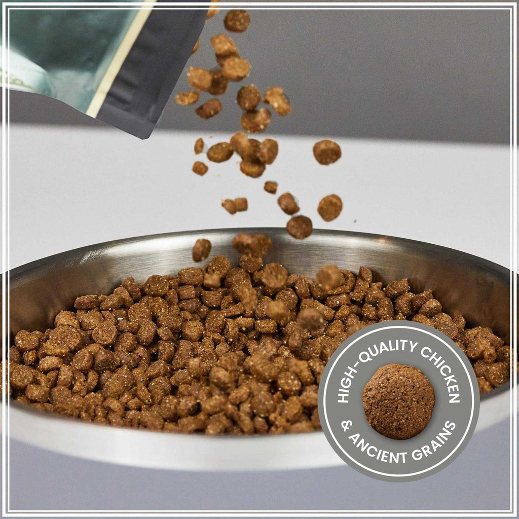 Ancient Grains with Chicken Dog Food T8816