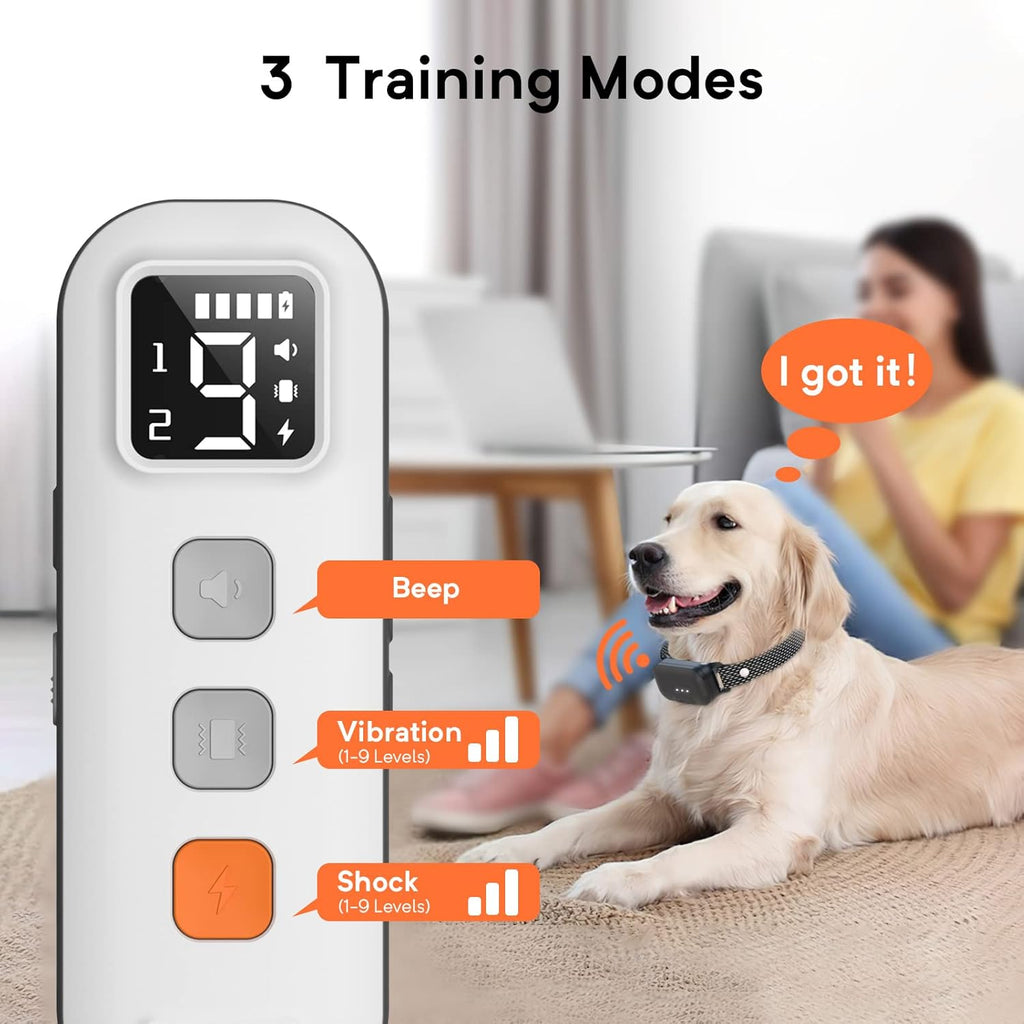 Waterproof Dog Training Collar with Remote, Pack of 2 L68923