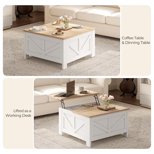 Lift Top Coffee Table with Storage, Black & Gray F341