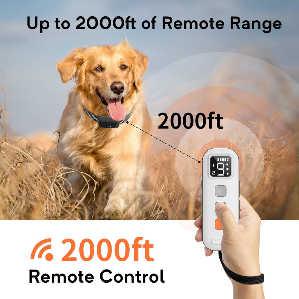 Waterproof Dog Training Collar with Remote, Pack of 2 L68923