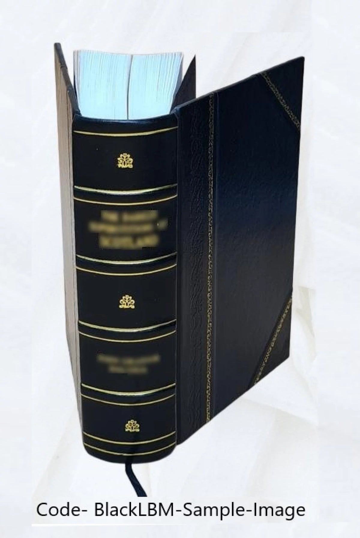 Thesaurus veterum dyptichorum consularium et ecclesiasticorum E709823