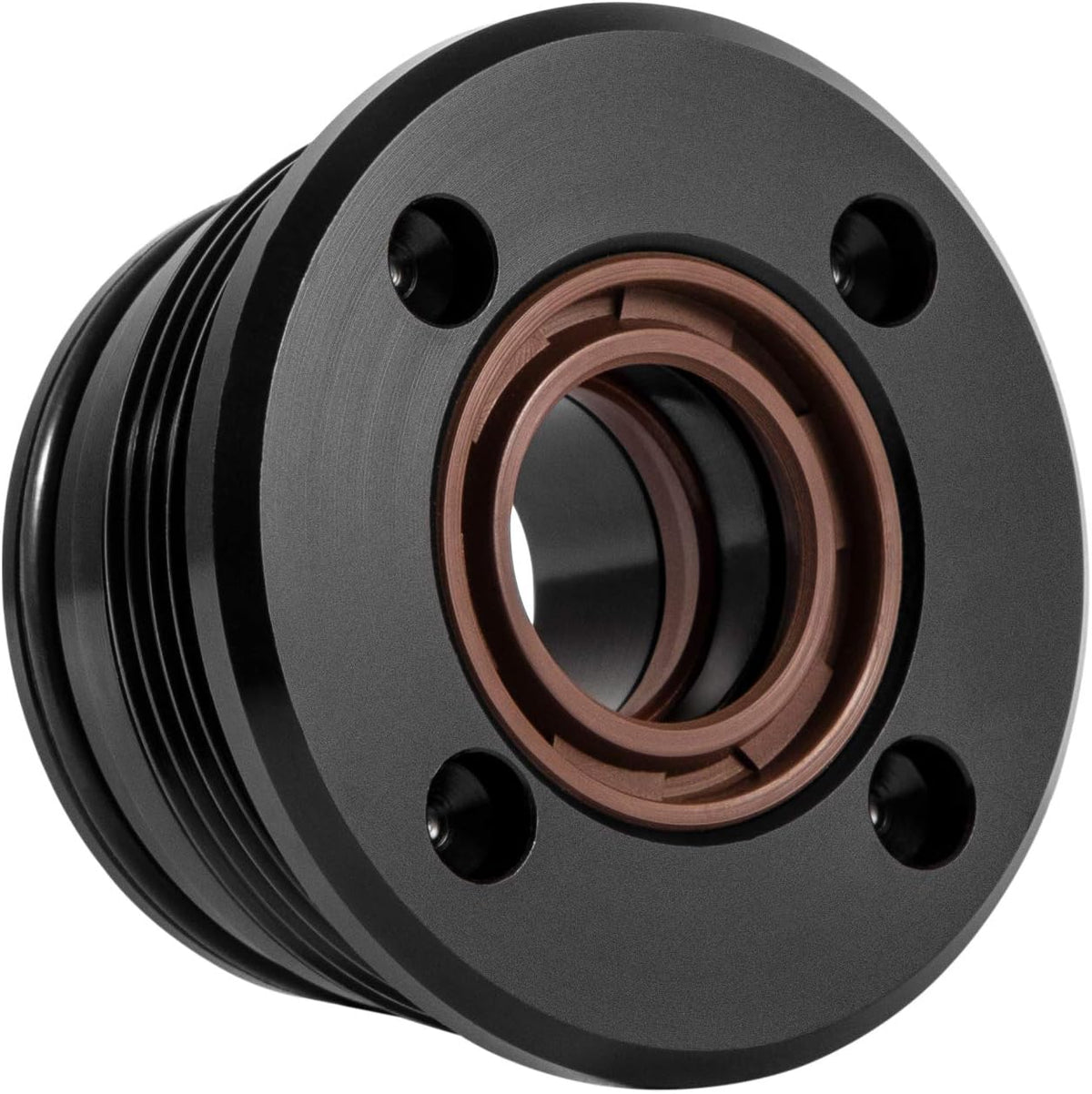 Trim Cylinder RAM Rebuild Kit 2PCS F114