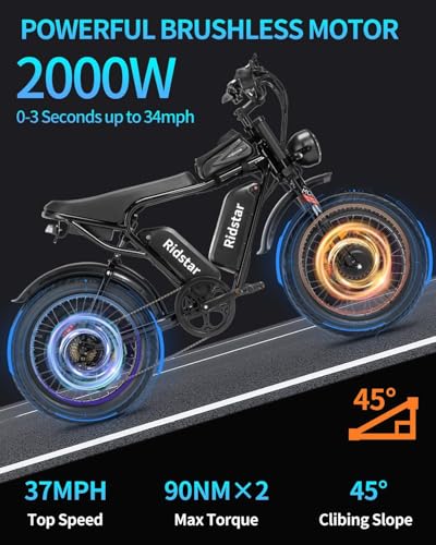 20" Fat Tire Electric Bike 1000W 48V 20AH E58665