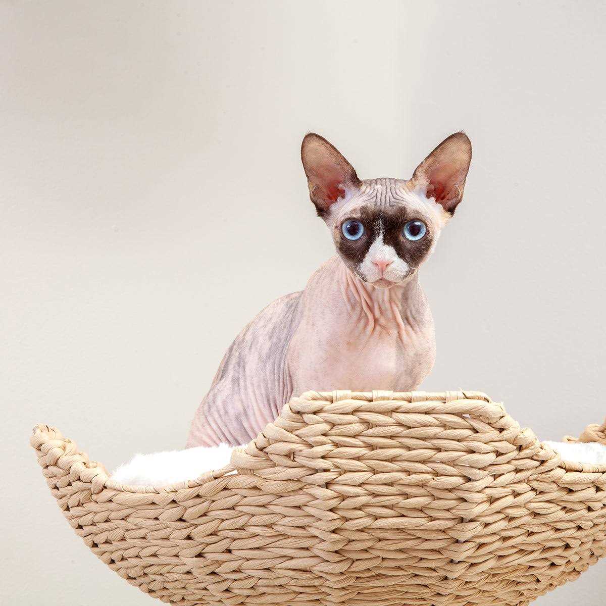 Modern Cat Tree Elevated Tower K140