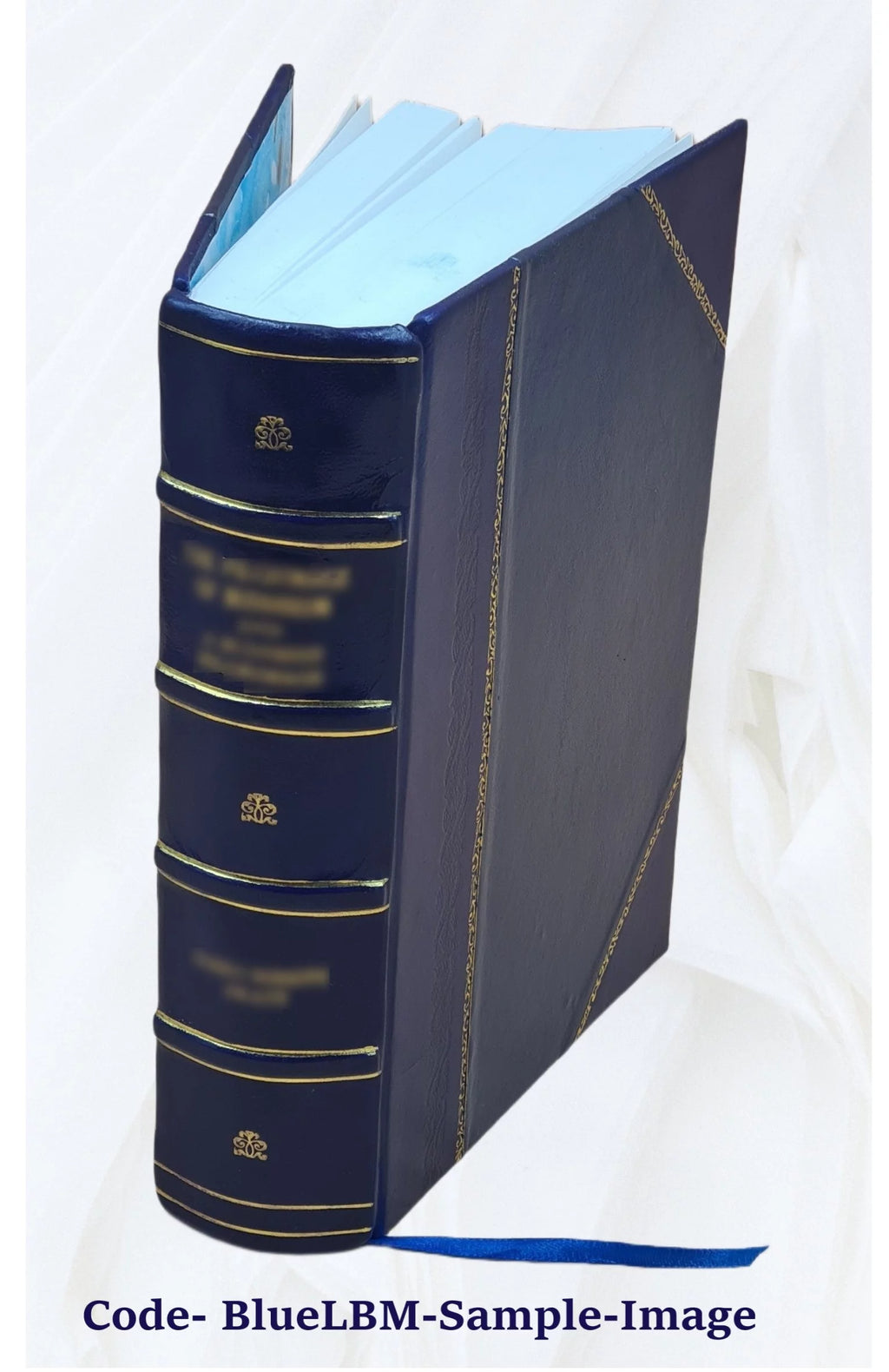 Thesaurus veterum dyptichorum consularium et ecclesiasticorum E709823