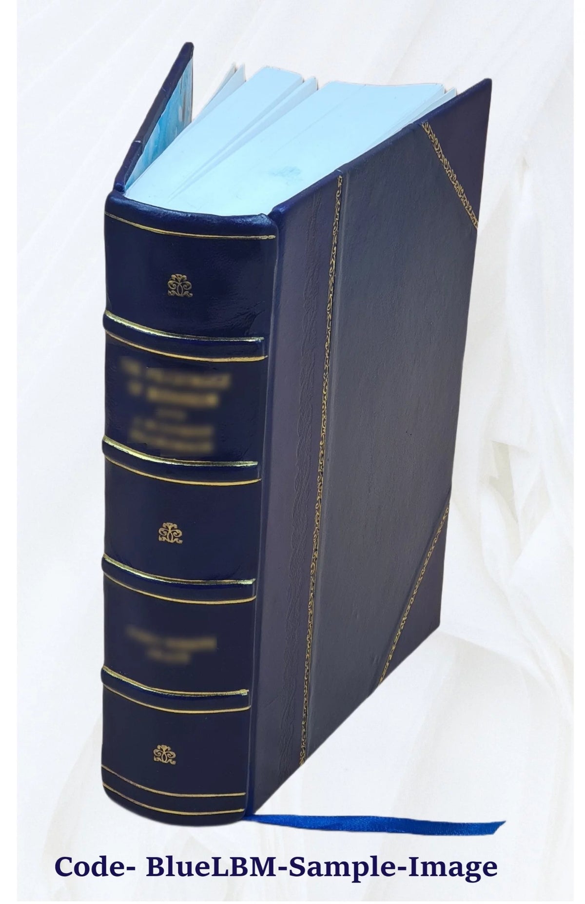 Thesaurus veterum dyptichorum consularium et ecclesiasticorum E709823