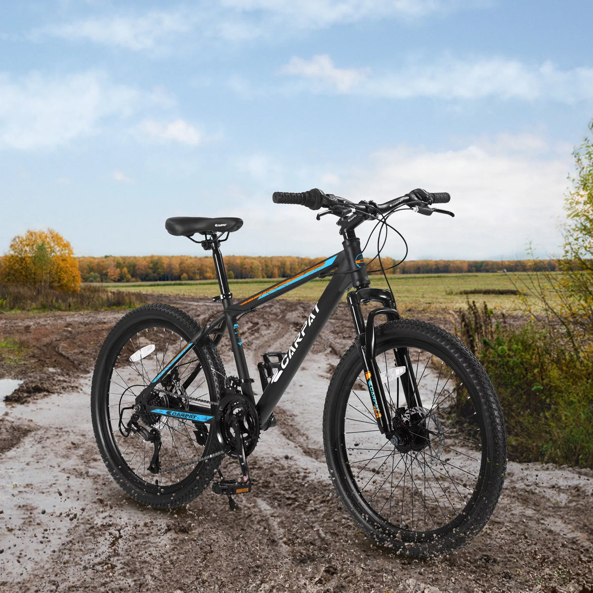 26 inch Mountain Bike with 21 Speed & Disc Brakes W186