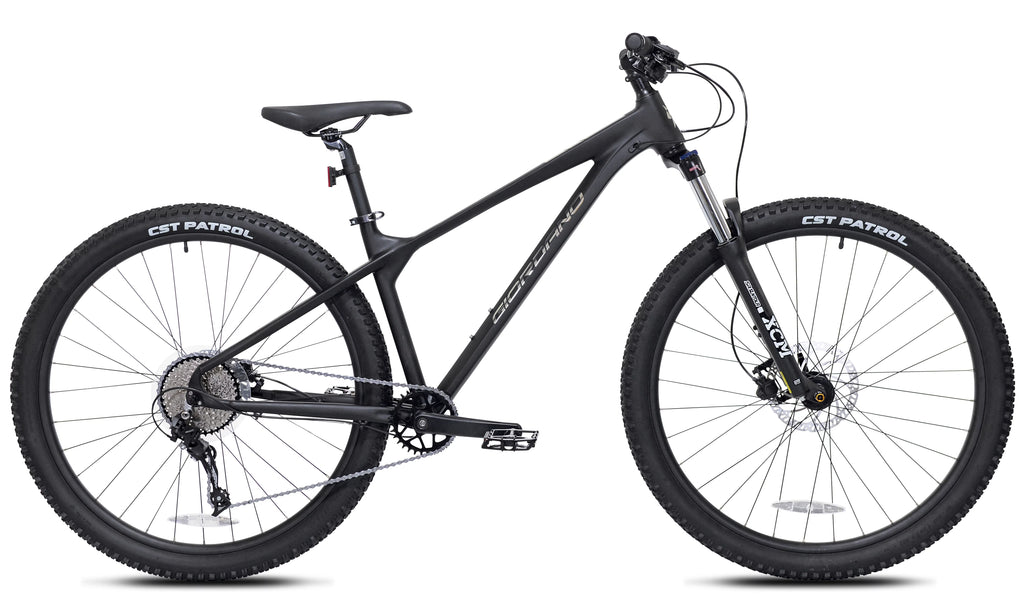 Black 29-inch Mountain Bike Z436
