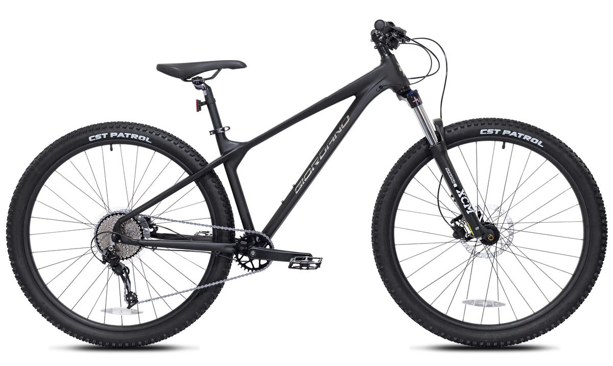 Black 29-inch Mountain Bike Z436