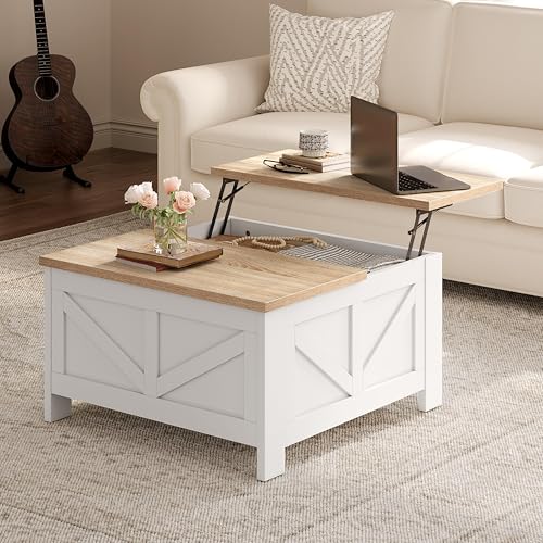 Lift Top Coffee Table with Storage, Black & Gray F341