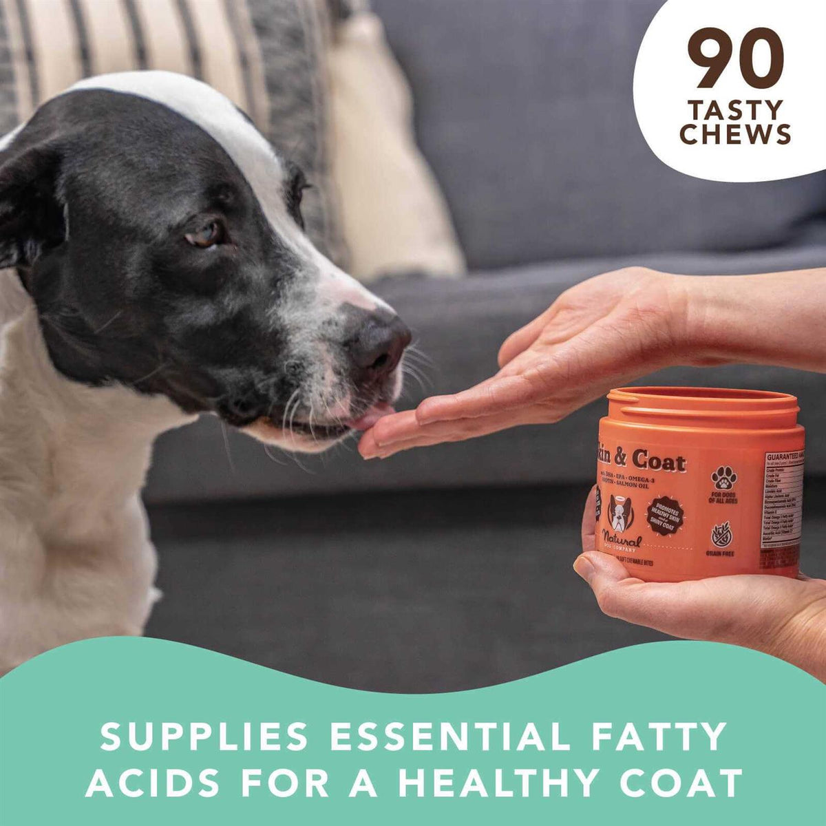 Dog Skin and Coat Supplement U6310