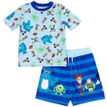 Toddler Boys Rash Guard and Swim Trunks Outfit Set E5437