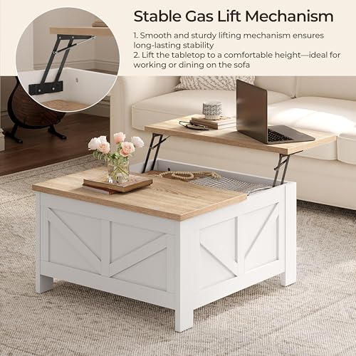 Lift Top Coffee Table with Storage, Black & Gray F341