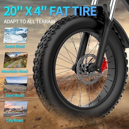 20" Fat Tire Electric Bike 1000W 48V 20AH E58665