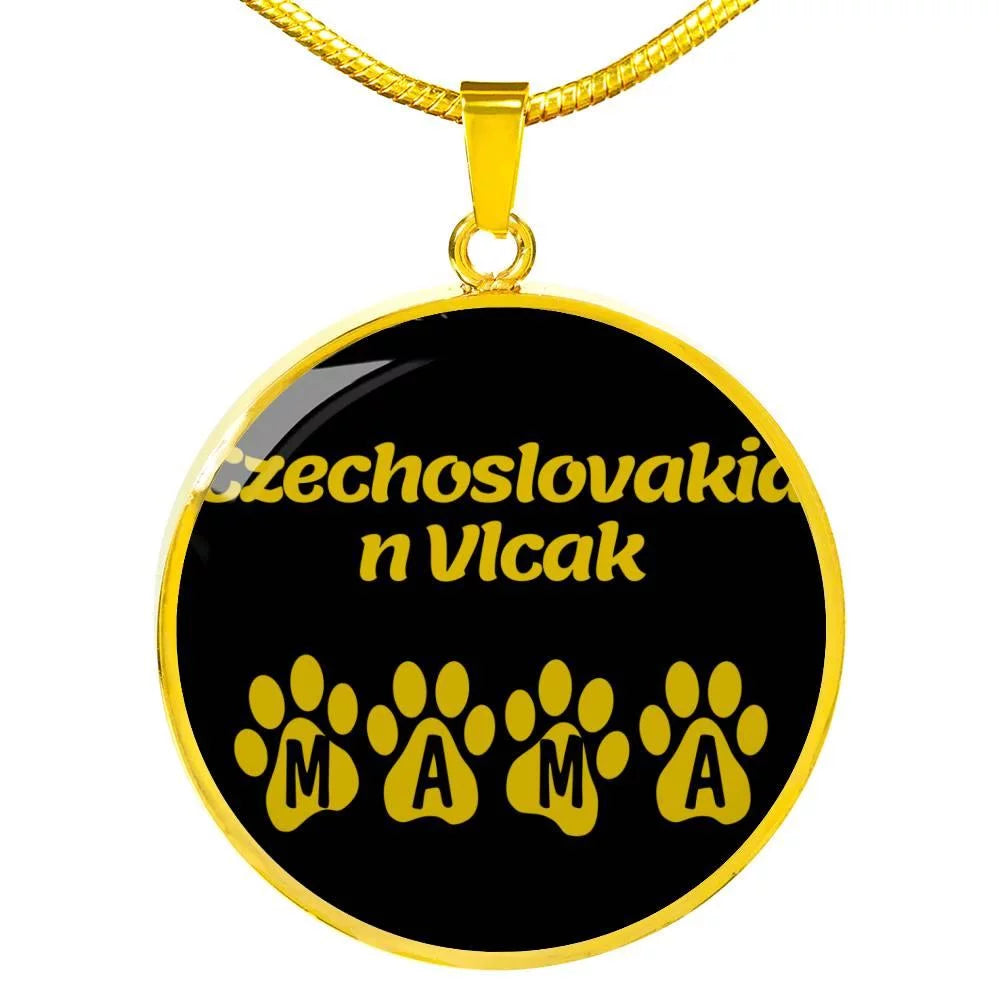 Stainless Steel or 18k Gold Necklace V51791