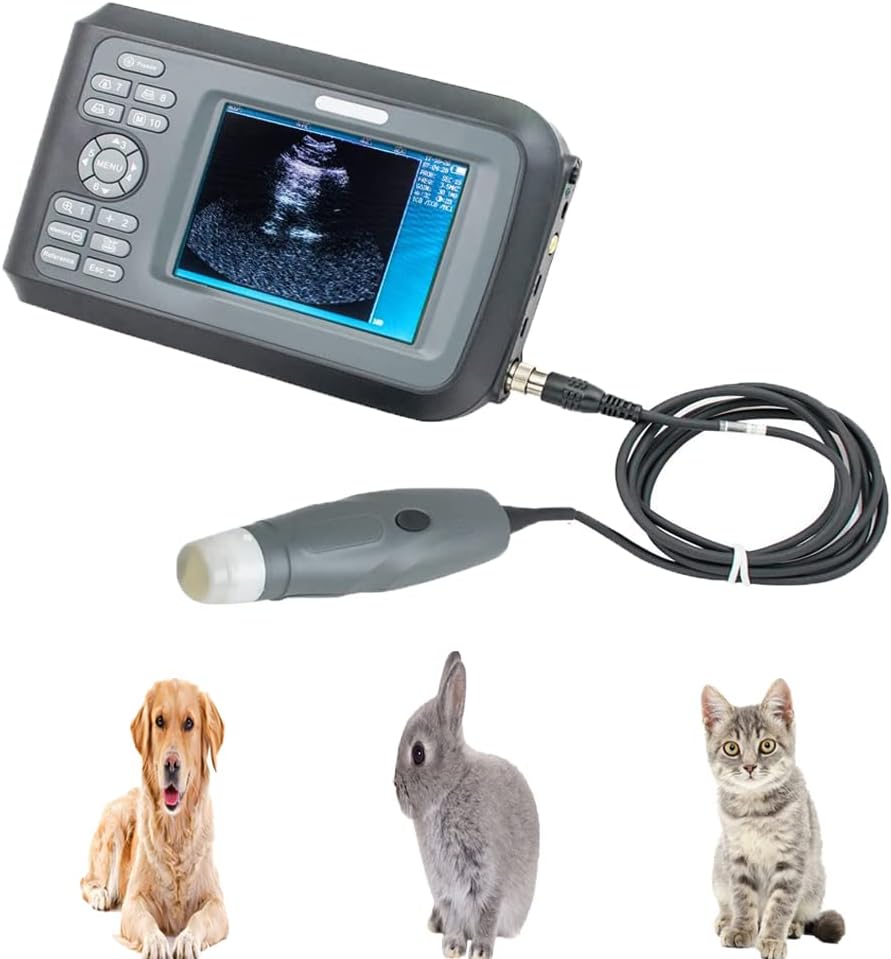 Handheld Portable Veterinary Ultrasound Machine with 3.5MHz Mechanical Sector Probe G4190