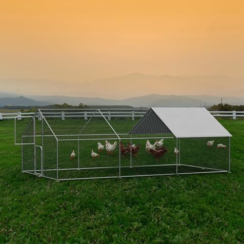 Large Walk in Metal Chicken Coop for 10 Chickens J689737