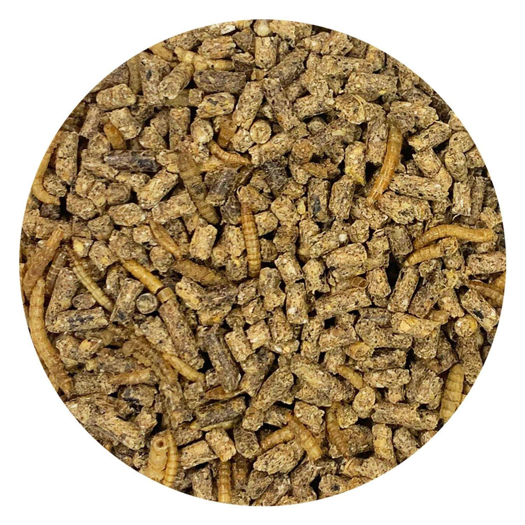 Complete Hedgehog Food Y378