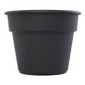 6in Planter Black, 24 Pack J217