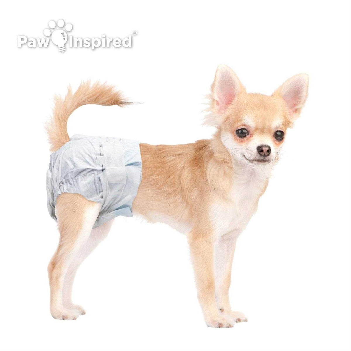 Disposable Female Dog Diapers Z5500