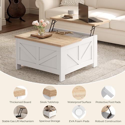 Lift Top Coffee Table with Storage, Black & Gray F341
