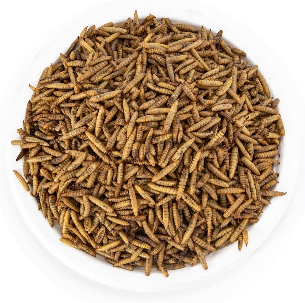 11LBS Dried Black Soldier Fly Larvae Treats Pack of 2 H439