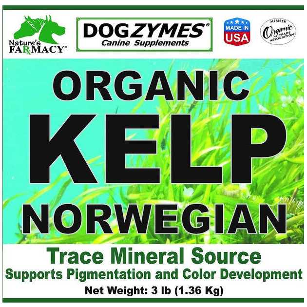 Organic Norwegian Kelp with Organic Garlic B917