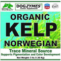 Organic Norwegian Kelp with Organic Garlic B917