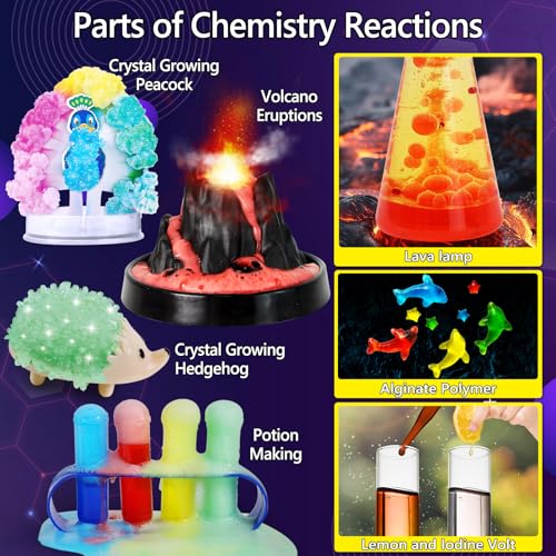 260+ Experiments Science Kit O238