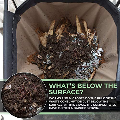 Worm Composting Bin Q81002