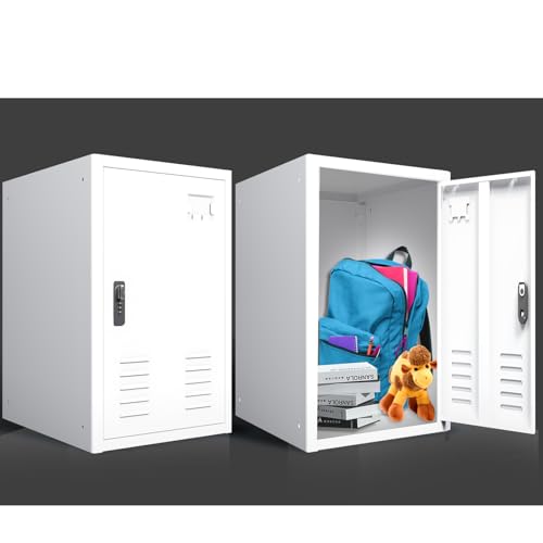 19.7" H Metal Locker Storage Cabinet with 1 Doors P447
