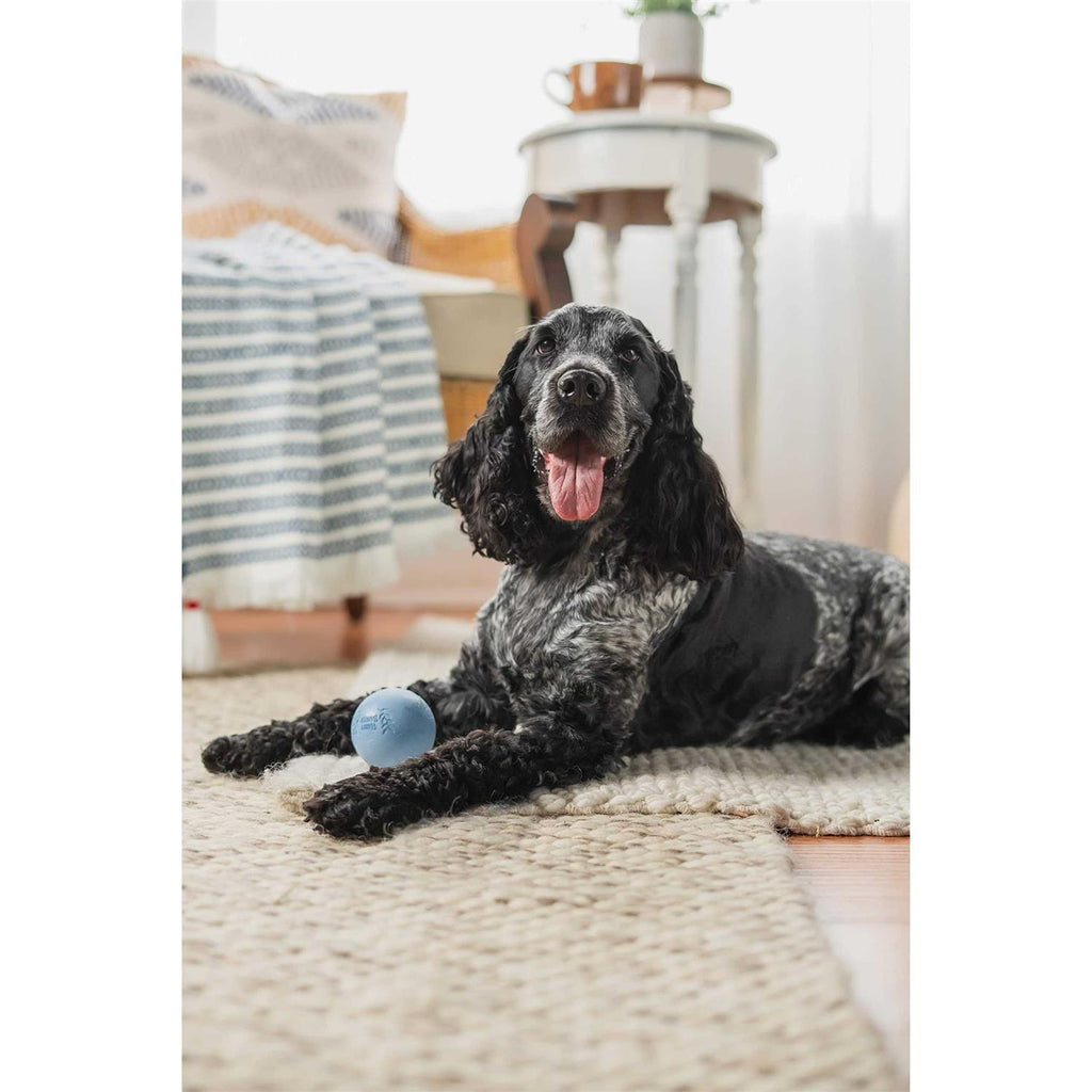 Rubber Balls and Rubber Chew Stick L360482