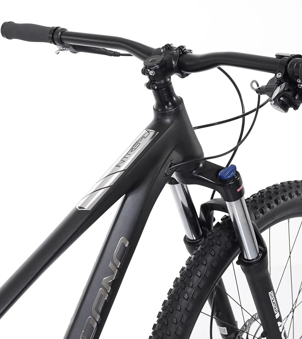 Black 29-inch Mountain Bike Z436