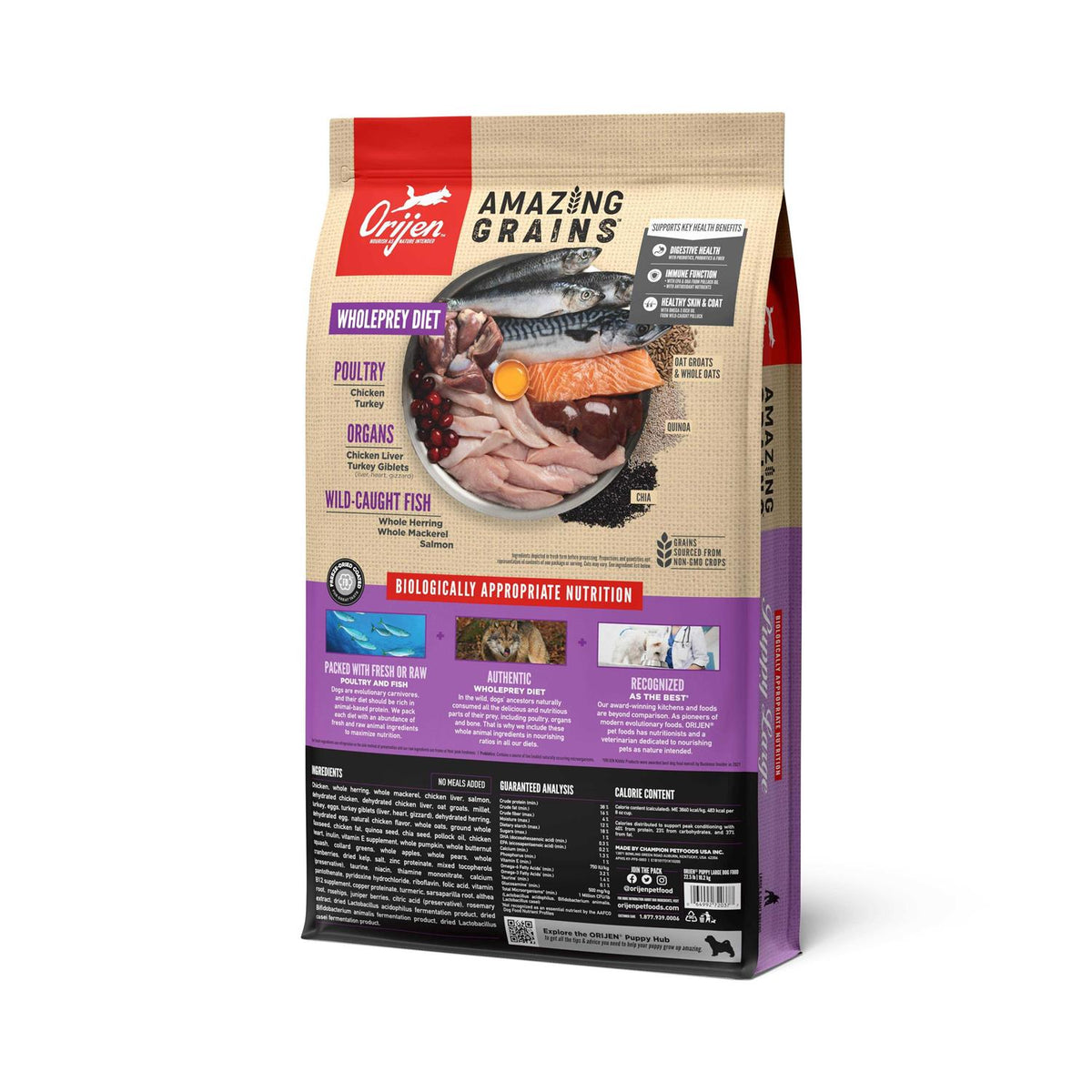 Large Breed Puppy Dry Dog Food U24379