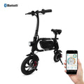 Folding Electric Bike V460185