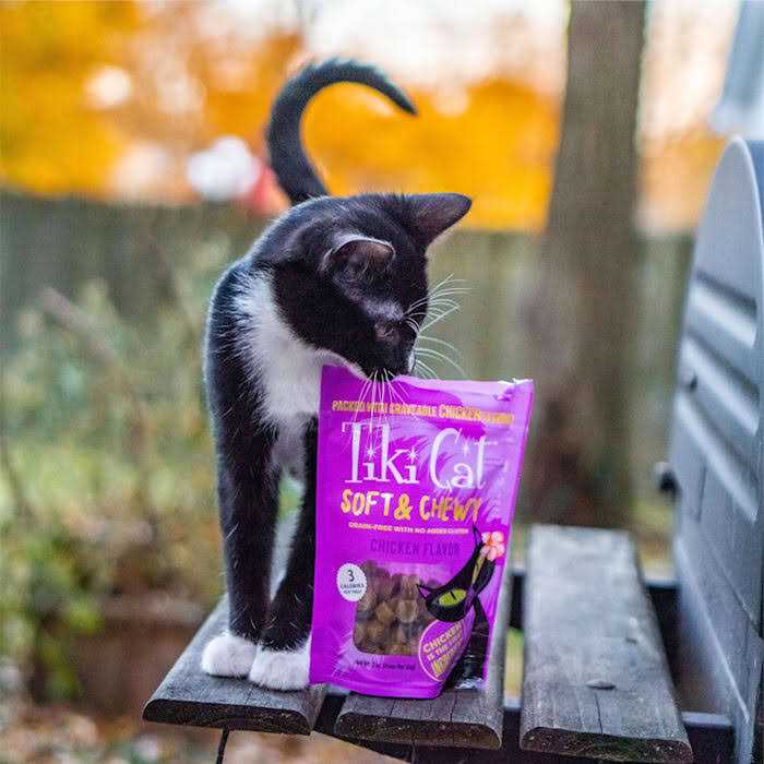 Chicken Soft & Chewy Cat Treats J96355